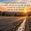 Rumble Strips